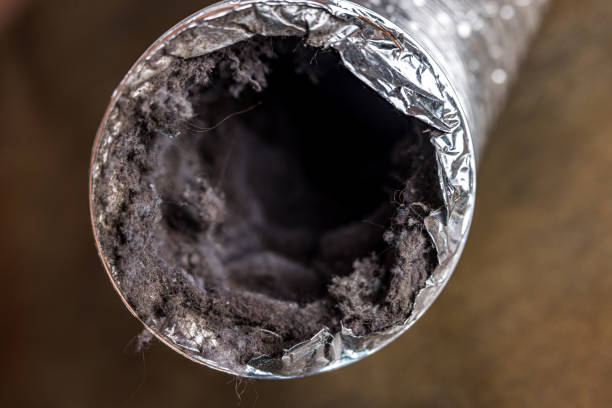 Best Duct Cleaning for Homes  in Stevensville, MT