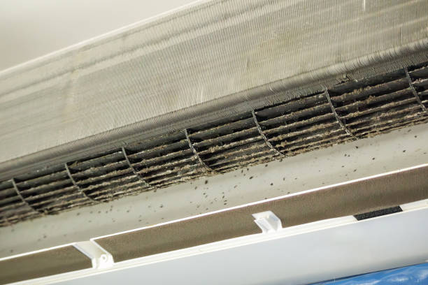Best Affordable Duct Cleaning Services  in Stevensville, MT